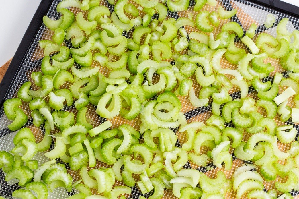 Celery should be spread in one layer, not like I did here chopped celery on a dehydrator tray