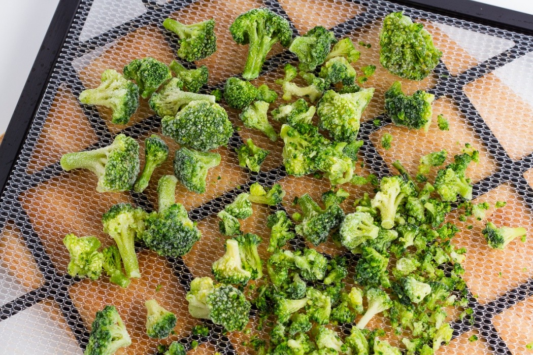 Avoid cutting florets too small or they'll fall into the dehydrator when it dries frozen broccoli spread on a dehydrator tray