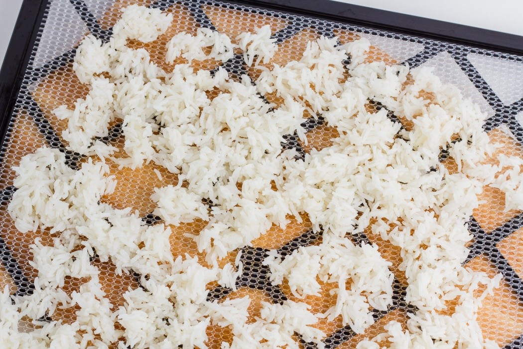Jasmine rice is fairly sticky and hard to spread evenly, feel free to use a more granular rice jasmine rice spread on an Excalibur dehydrator tray