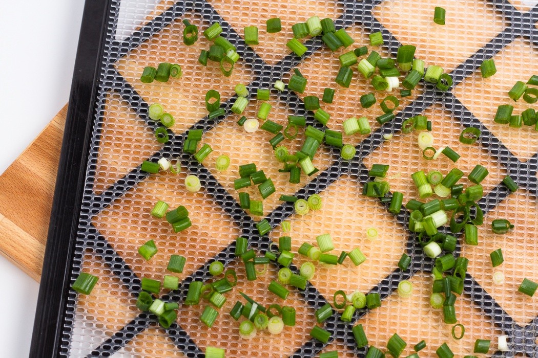 Green onions don't need to spread very evenly because they're hollow and naturally provide air flow green onions on a dehydrator tray