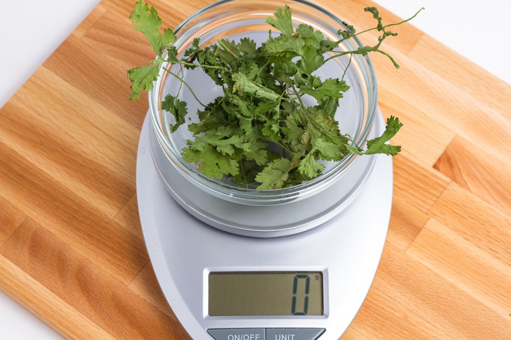 Dried cilantro is incredibly brittle and very flavorful 1 gram of dried cilantro
