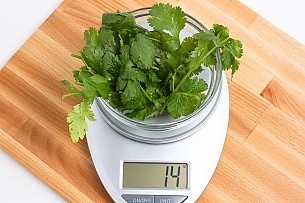14 grams of cilantro on a scale