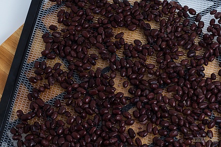 black beans on a dehydrator tray