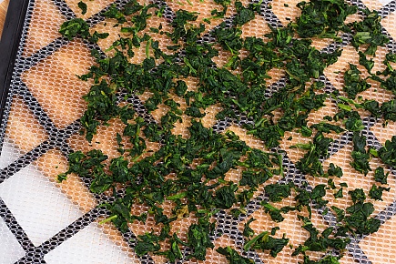 frozen chopped spinach spread on a dehydrator tray